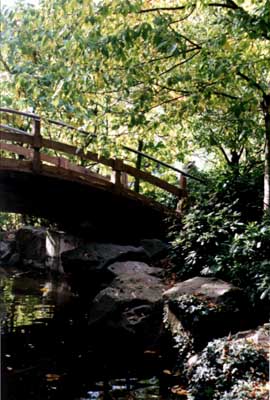 Petit pont typique