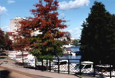 Port fluvial de l'île de versaille